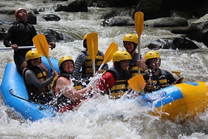 Ayung River White Water Rafting in Ubud: 14km Jungle Descent photo 2