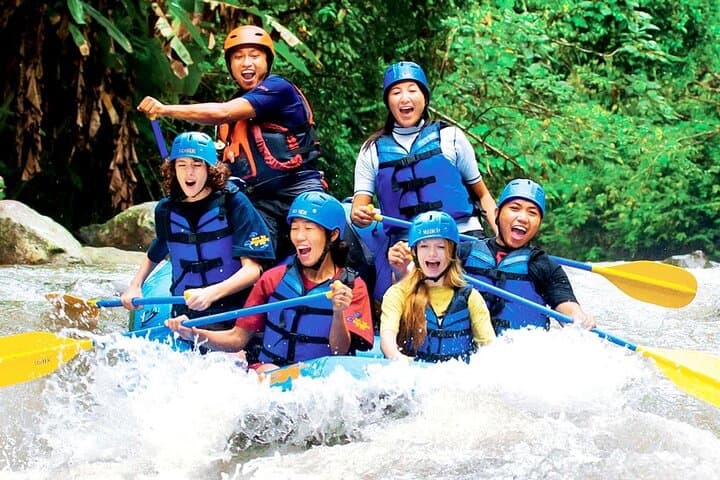 Ayung River White Water Rafting in Ubud: 14km Jungle Descent photo 3