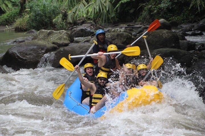 Ayung River White Water Rafting in Ubud: 14km Jungle Descent photo 4