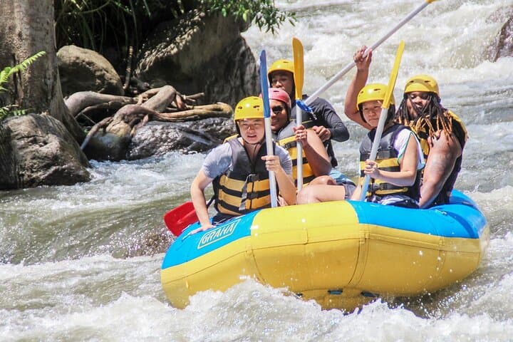 Ayung River White Water Rafting in Ubud: 14km Jungle Descent photo 5