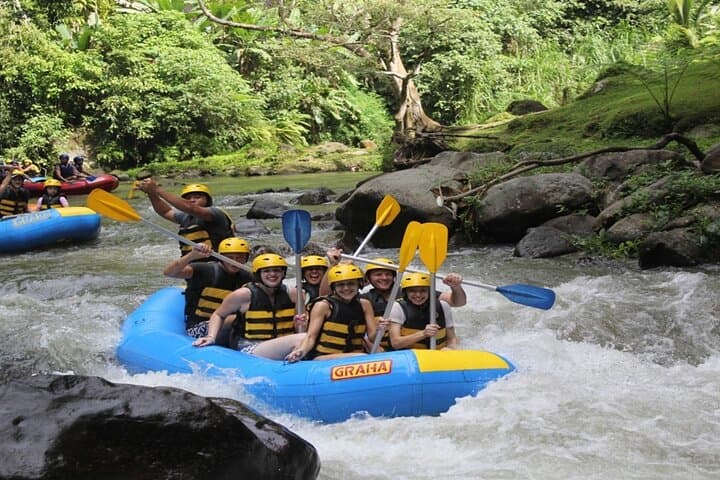 Ayung River White Water Rafting in Ubud: 14km Jungle Descent photo 6