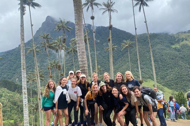 Cocora Valley Full-Day Private Hike: Wax Palms, Hanging Bridges & Hummingbirds photo 1