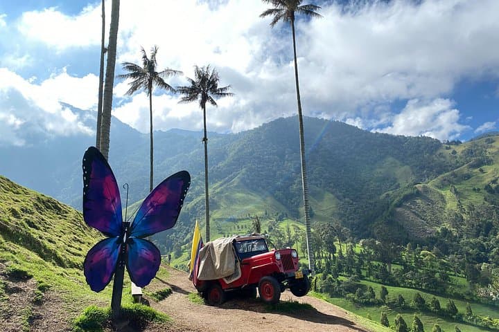 Cocora Valley Full-Day Private Hike: Wax Palms, Hanging Bridges & Hummingbirds photo 2