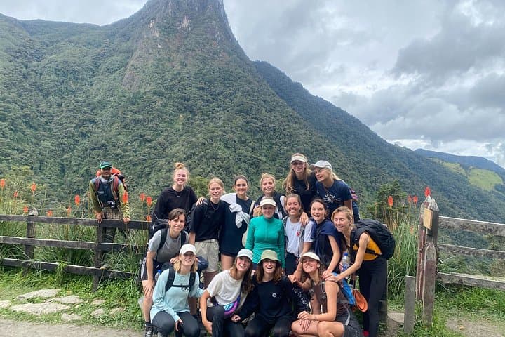 Cocora Valley Full-Day Private Hike: Wax Palms, Hanging Bridges & Hummingbirds photo 3