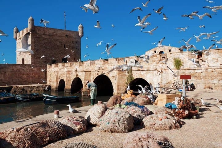 Day Trip from Marrakech to Essaouira: Coastal Ramparts, Seafood & Argan Fields photo 3
