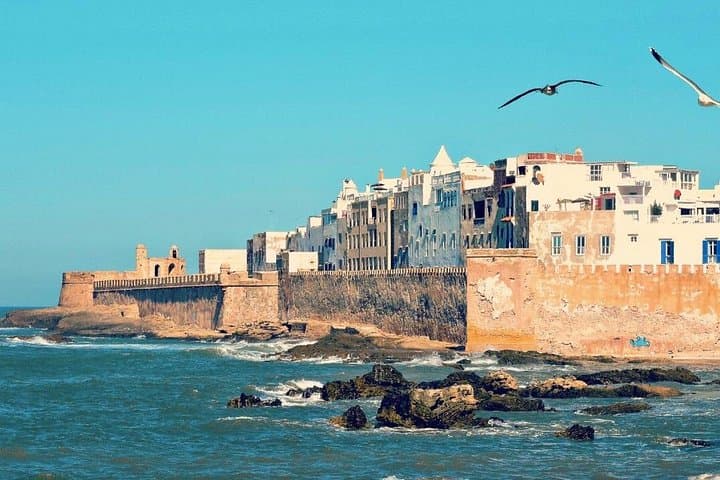 Day Trip from Marrakech to Essaouira: Coastal Ramparts, Seafood & Argan Fields photo 4