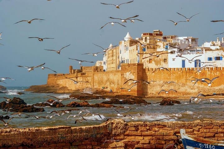 Day Trip from Marrakech to Essaouira: Coastal Ramparts, Seafood & Argan Fields photo 5