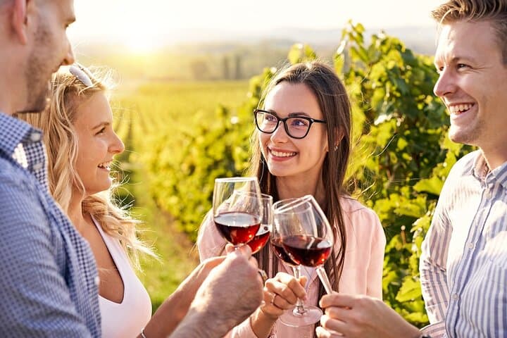 Calchaquí Valley to Cafayate: A Private Full-Day Wine Tour from Salta photo 2