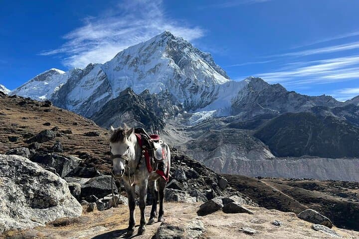 14-Day Everest Base Camp Trek from Kathmandu: Complete Itinerary & Practical Tips photo 5