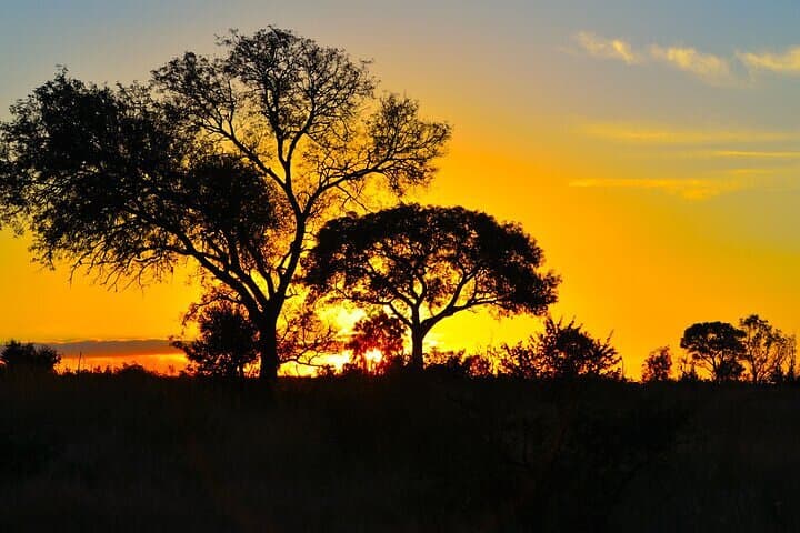 Full-Day Kruger Safari from Hoedspruit — Open-Vehicle Big Five Experience photo 4