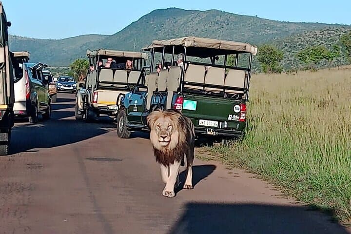 Full-Day Kruger Safari from Hoedspruit — Open-Vehicle Big Five Experience