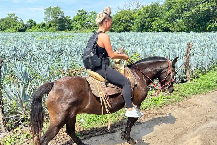 Puerto Vallarta River Ride: Horseback Swimming & Tequila Tasting with Unlimited Margaritas photo 5