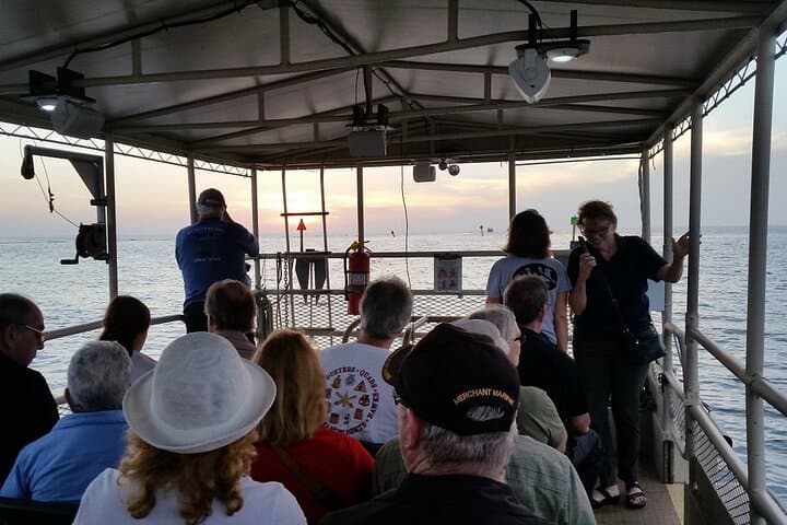 Crystal River Boat Tour: Manatees, Dolphins & Sunset Cruises in Florida