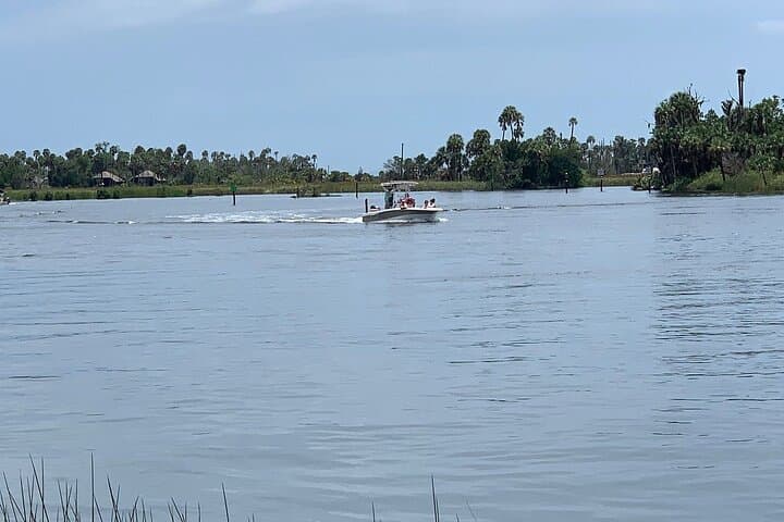 Crystal River Boat Tour: Manatees, Dolphins & Sunset Cruises in Florida photo 2