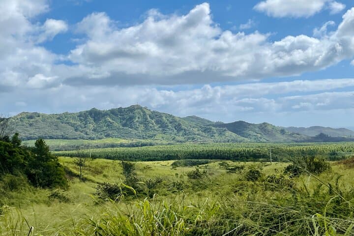 Shaka Zipline Kauai: 5-Line Zipline Tour Over Mountain Valleys and Ocean Views photo 5