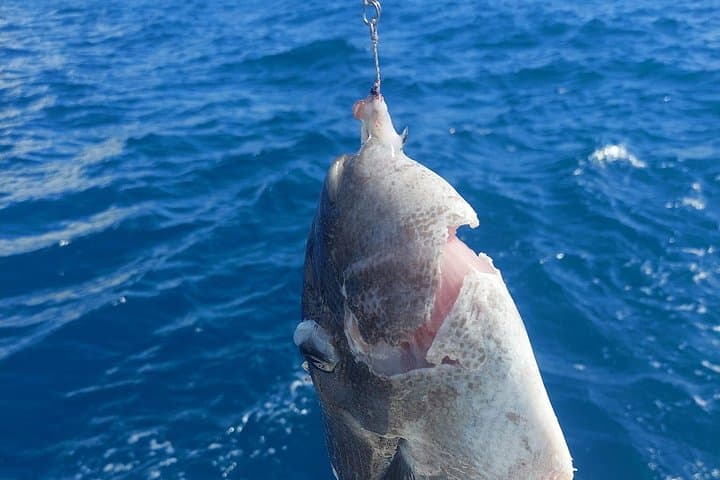 Private Big-Game Fishing and Lagoon Snorkel from Uturoa, Raiatea photo 5