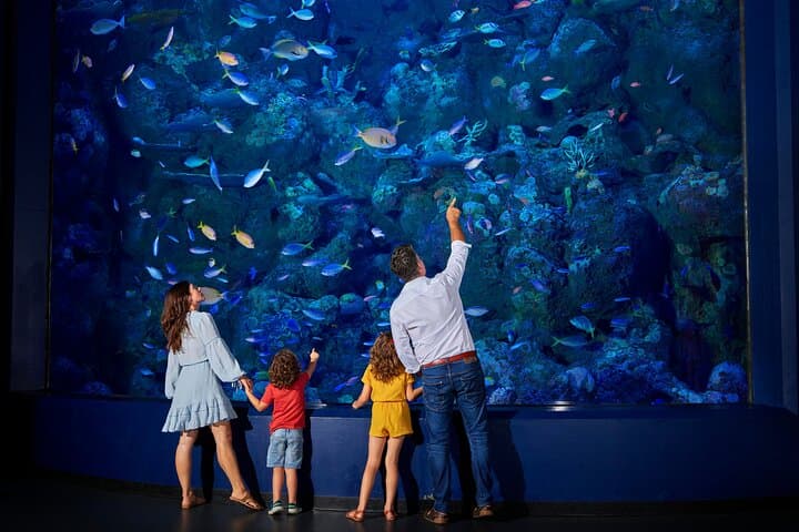 Night at the Aquarium: After-Dark Tour of Cairns' Reef Life