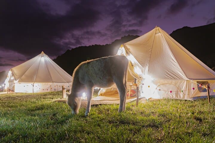 Andean Glamping in Pisac: 2-Day Cultural Stay with Local Families