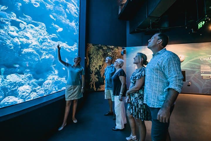 Night at the Aquarium: After-Dark Tour of Cairns' Reef Life photo 3