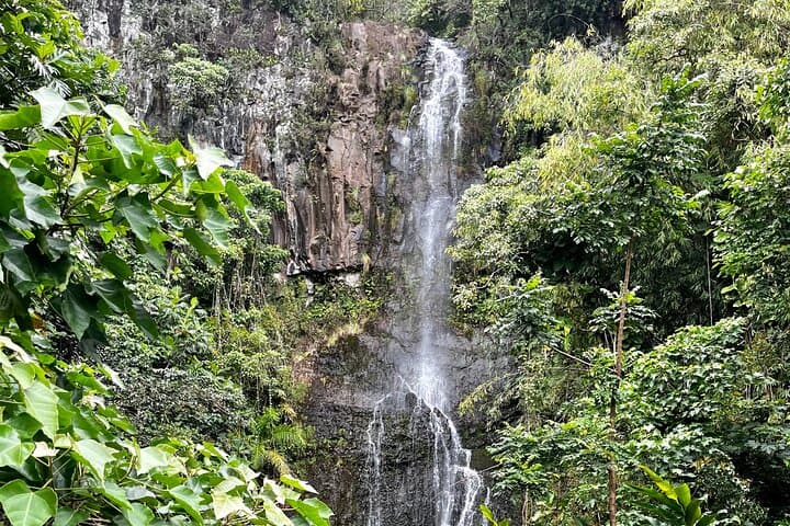Reverse Road to Hana VIP Tour in Convertible Bronco or Jeep photo 3