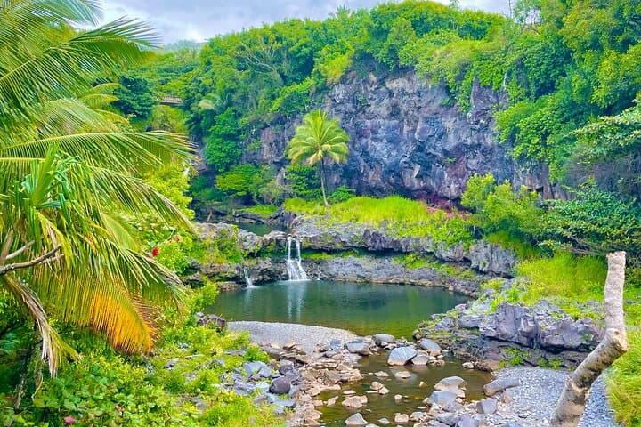 Reverse Road to Hana VIP Tour in Convertible Bronco or Jeep photo 6