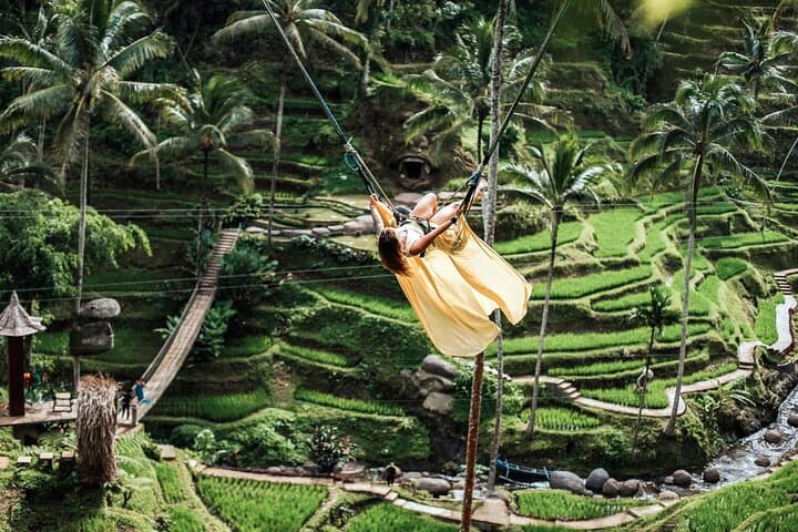 Ubud Day Tour: Jungle Swing, Coffee Plantation & Iconic Rice Terraces photo 2