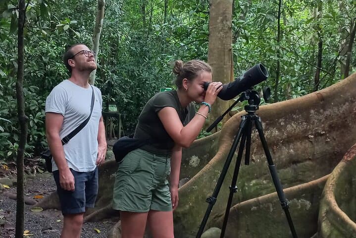 Carara National Park Birdwatching: Morning Tour to See Scarlet Macaws and Toucans photo 3