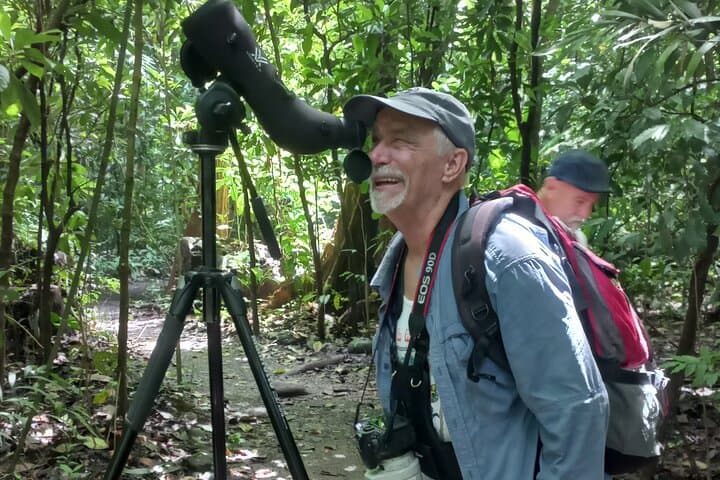 Carara National Park Birdwatching: Morning Tour to See Scarlet Macaws and Toucans photo 5