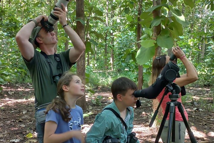 Carara National Park Birdwatching: Morning Tour to See Scarlet Macaws and Toucans photo 6