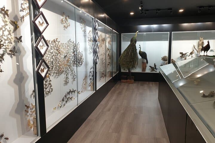 Two-Day Private Escape to Nam Cat Tien National Park: Wildlife, Lava Tubes & Bau Sau Lake photo 6