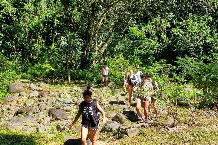 El Yunque Ziplining with Mameyes River & Luquillo Beach Visit