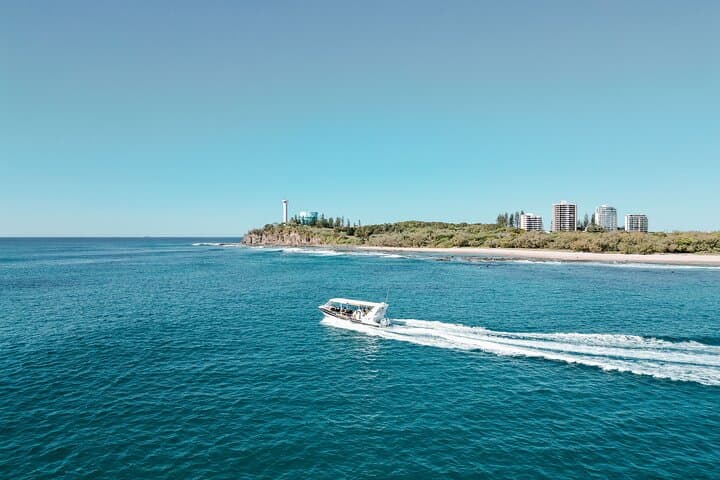 Mooloolaba Turtle RIB Safari: High-Speed Coastal Cruise to Mudjimba Island