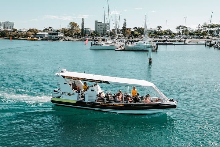 Mooloolaba Turtle RIB Safari: High-Speed Coastal Cruise to Mudjimba Island photo 2