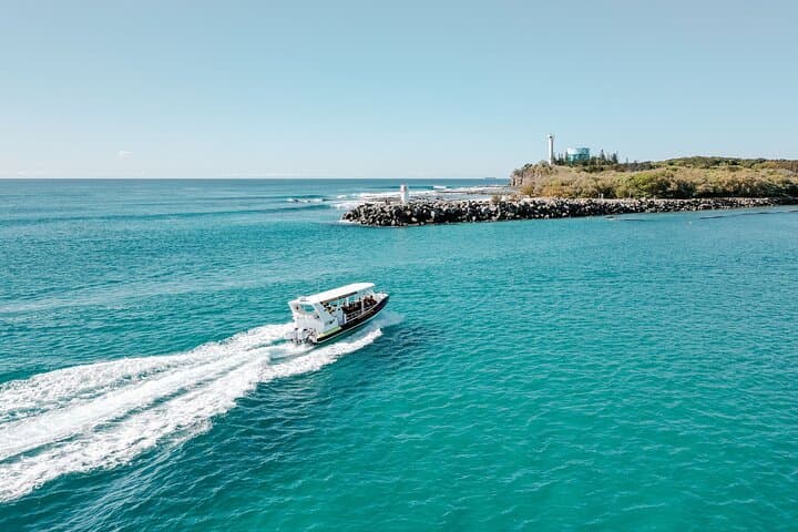 Mooloolaba Turtle RIB Safari: High-Speed Coastal Cruise to Mudjimba Island photo 5