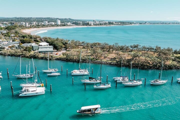 Mooloolaba Turtle RIB Safari: High-Speed Coastal Cruise to Mudjimba Island photo 6