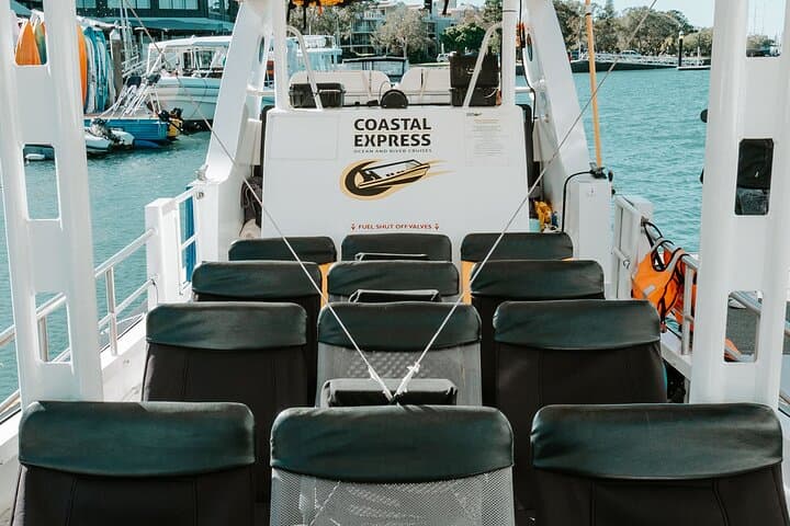 High-Speed Whale Watching in Mooloolaba: Sunshine Coast Humpback Safari photo 5