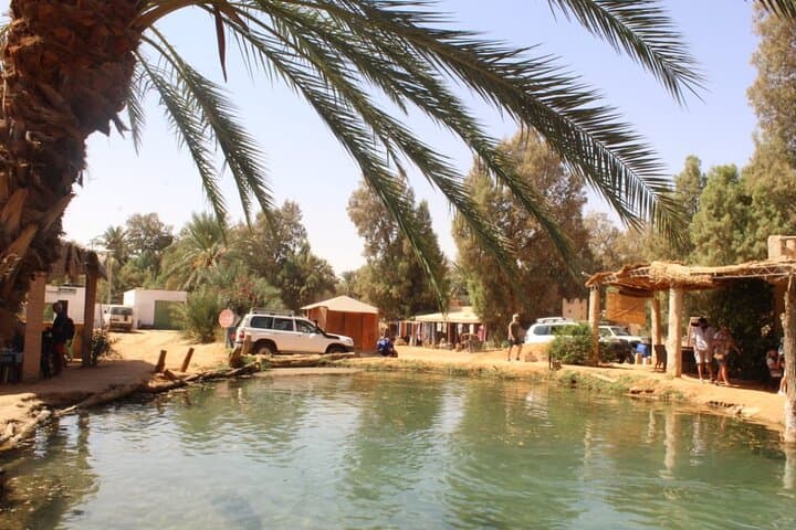 Ksar Ghilane Day Trip from Djerba — Hot Springs, Oases & Berber Encounters photo 3
