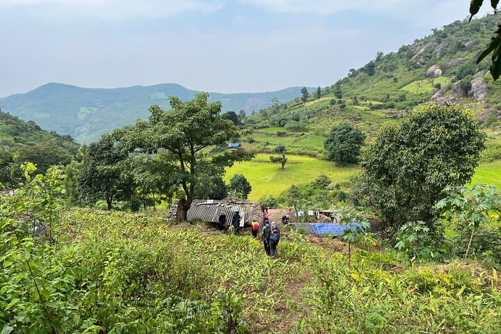 Jindhagada Trek — Summit Seethamma Konda: Overnight Eastern Ghats Camp, Tribal Village & Coffee Plantation photo 4