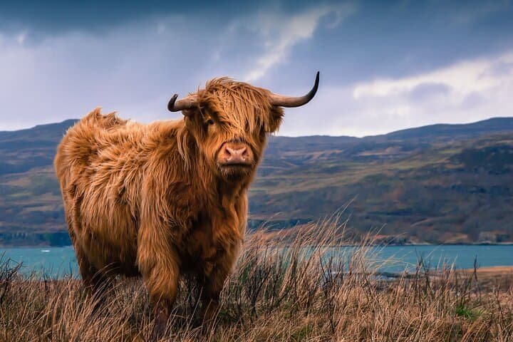Private 3-Day Luxury Tour to Isle of Skye, Loch Ness & the Scottish Highlands from Edinburgh photo 2