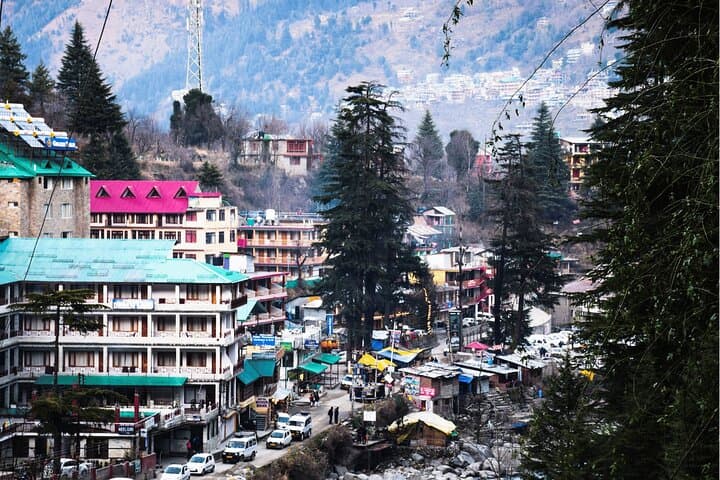 Manali Heritage Walking Tour: 2-Hour Old Town Cultural Walk photo 6