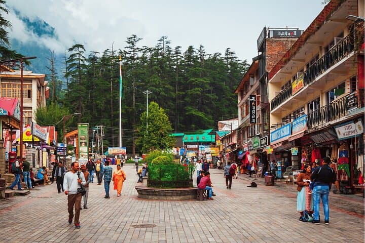 Manali Heritage Walking Tour: 2-Hour Old Town Cultural Walk photo 3