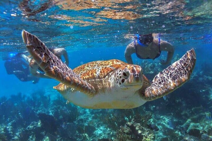 Adults-Only Riviera Maya Catamaran: Full-Day Cruise with Open Bar & Lunch photo 2
