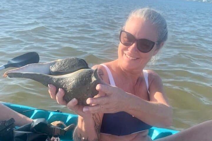 Dolphin and Manatee Kayak Tour – Halifax River, Daytona Beach photo 3