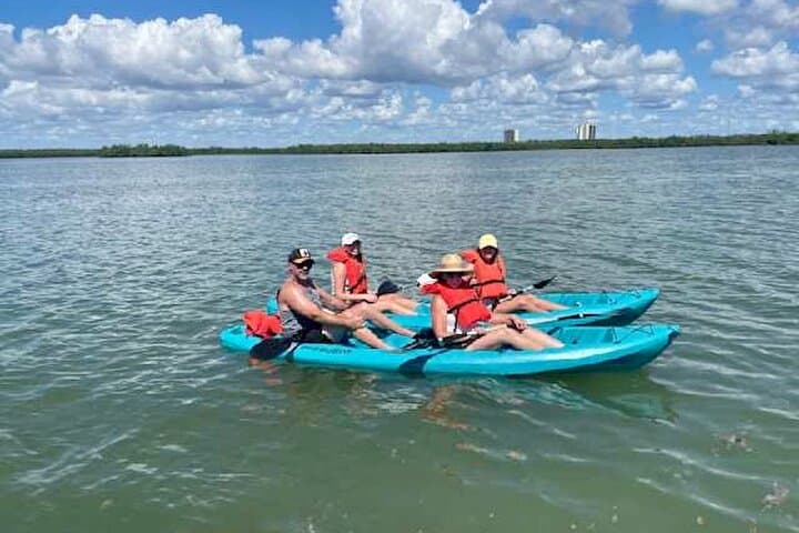 Dolphin and Manatee Kayak Tour – Halifax River, Daytona Beach photo 5