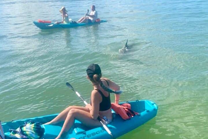 Dolphin and Manatee Kayak Tour – Halifax River, Daytona Beach