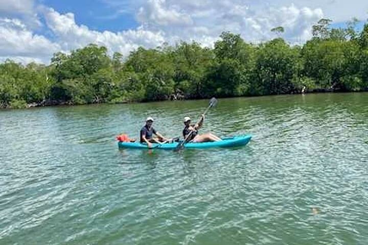 Dolphin and Manatee Kayak Tour – Halifax River, Daytona Beach photo 6