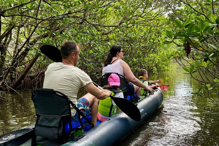 Secluded Mangrove Kayak to Dolphin Watch Sandbar — 6-Hour Wildlife Expedition photo 4