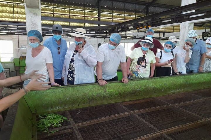 Bentota Village Tour: River Safari, Turtle Project & Tea Plantation Day Trip photo 2