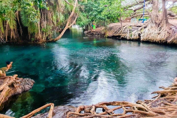 Materuni Waterfalls, Coffee Tour & Hot Springs — Day Trip from Arusha photo 6