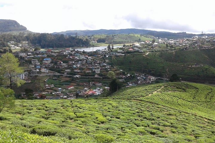 Day Trip from Kandy to Nuwara Eliya — Ramboda Viewpoint, Tea Plantations & Gregory Lake photo 5